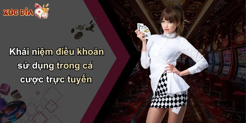Khái niệm điều khoản sử dụng trong cá cược trực tuyến