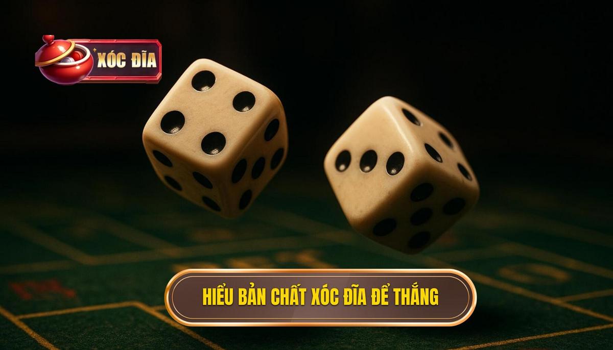 1. Hiểu Rõ Bản Chất Xóc Đĩa Cơ Sở Của Mọi Chiến Thắng