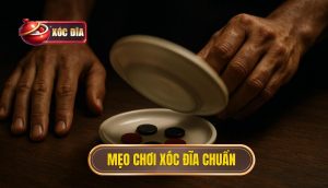Mẹo Chơi Xóc đĩa Chuẩn