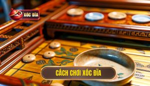 Cách Chơi Xóc đĩa