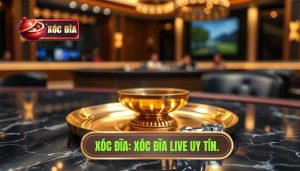 Xóc Đĩa Live Theo Thời Gian Thực: Trải Nghiệm Đẳng Cấp Tại XÓC ĐĨA
